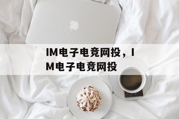 IM电子电竞网投，IM电子电竞网投